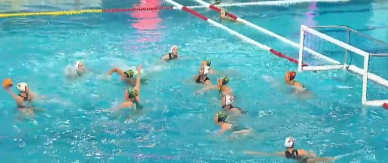 pallanuoto italia